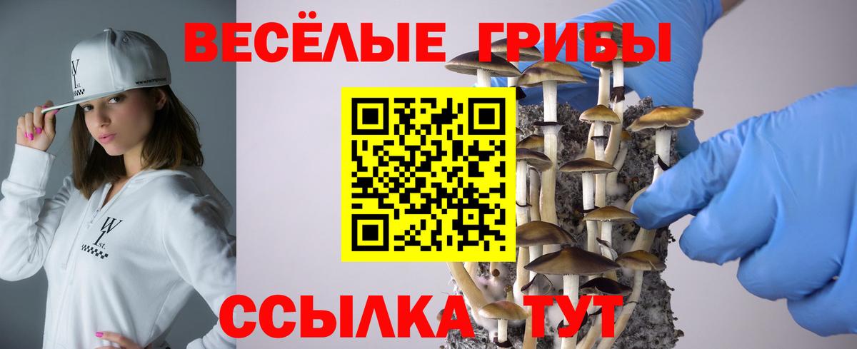 Урай  Псилоцибиновые грибы мицелий  Вход с VPN 